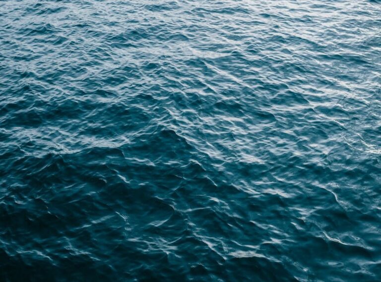 quiero agua livegore