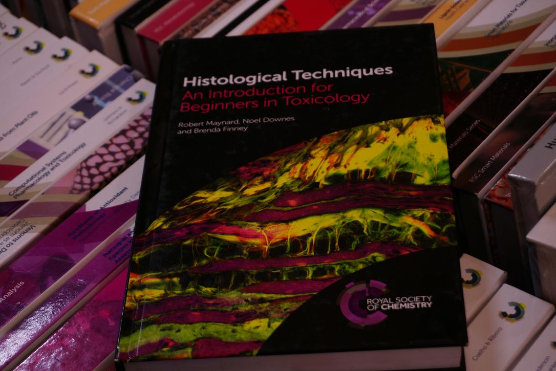 topographic analysis