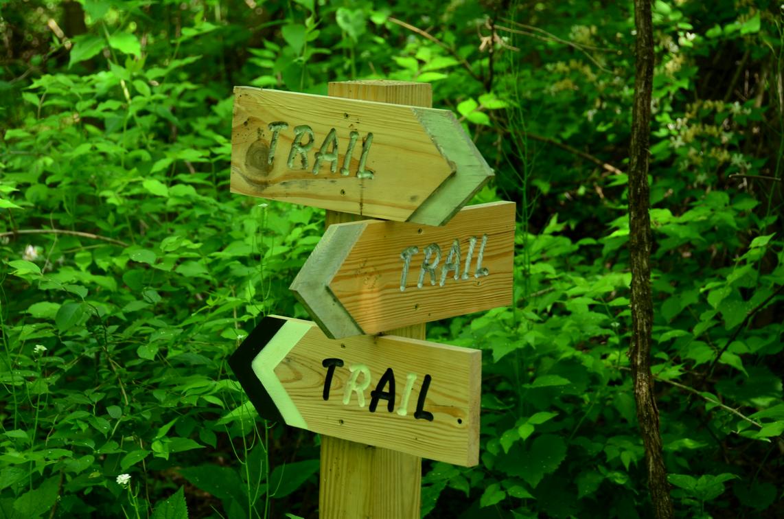 trail mapping