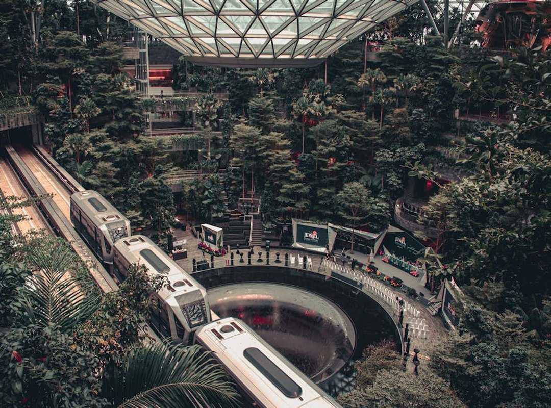 sustainable travel future