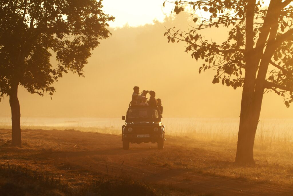 Wildlife Tourism Experiences Gain Popularity Among Travelers Seeking Nature-Focused Adventures